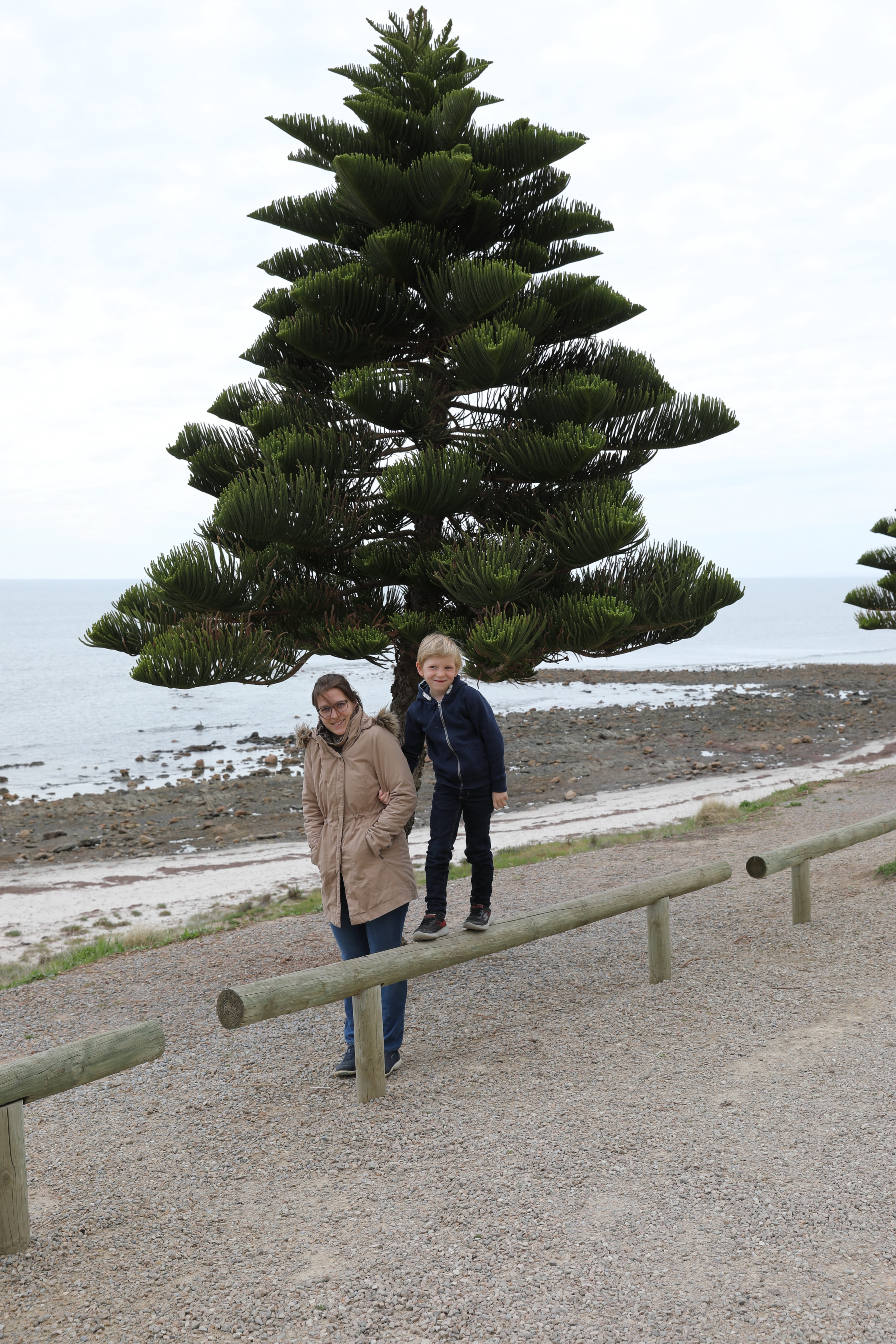 2019 09 28 13 04 39 Canon EOS 5D Mark IV 0008